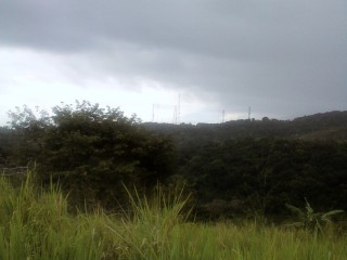 Flower Hills, St. James, Jamaica - Commercial/farm land for Sale
